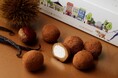 【2025年1月発売のバレンタイン新商品】【全国発送可】”ごほうび”にふさわしい小さなお菓子