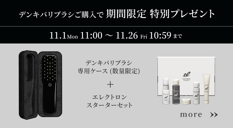 電気バリブラシ専用ケース　新品