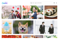 Canva Japan、国内最大級のストックフォトアフロと提携 デザインの創造性を向上