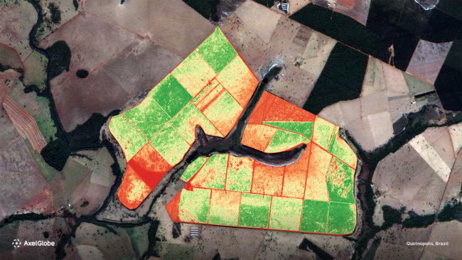 AxelGlobeが提供する衛星画像でブラジルのサトウキビ畑の植生分析を行った事例。作物の生育状況を高頻度で把握し、施肥管理や病害虫被害の早期発見、収穫時期の確定など、いわゆる精密農業への活用が急速に伸びています。