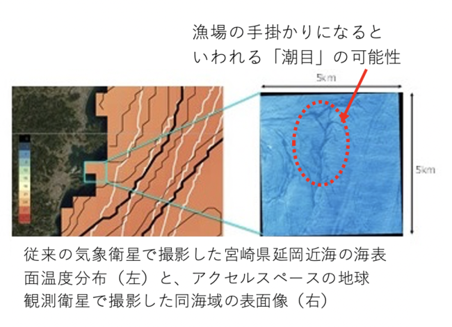 世界初 1 人工衛星を活用した高精度漁場予測サービスに関する共同研究の開始について 株式会社アクセルスペース のプレスリリース