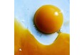 RADWIMPS、ニューアルバム「あにゅー」 10月8日(水)発売!