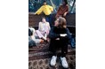 Apple Corps／Universal Music Group　ザ・ビートルズに関するECおよびマーチャンダイジングにおけるグローバルパートナーシップを発表