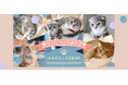 ねこぞー家の看板猫『りっちゃん』の誕生日コラボグッズSHOPオープン!