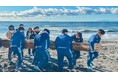 ラガーマンたちが鎌倉の七里ヶ浜で300キロの流木を撤去して地域へ恩返し