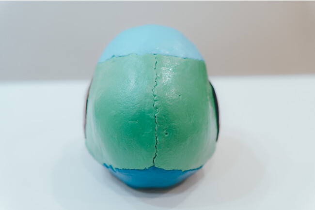  https:// www. nestbodytreat. com/「筋膜リリース上半身
