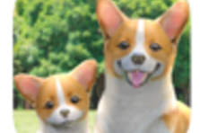 育成ゲーム　バーチャルペット　PET VET 犬 バーチャルペット 育成ゲーム ペットごっち 犬｜Yahoo!フリマ