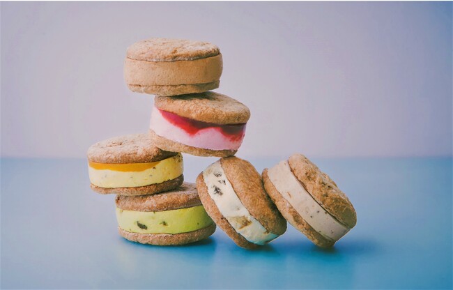 ※画像はイメージです