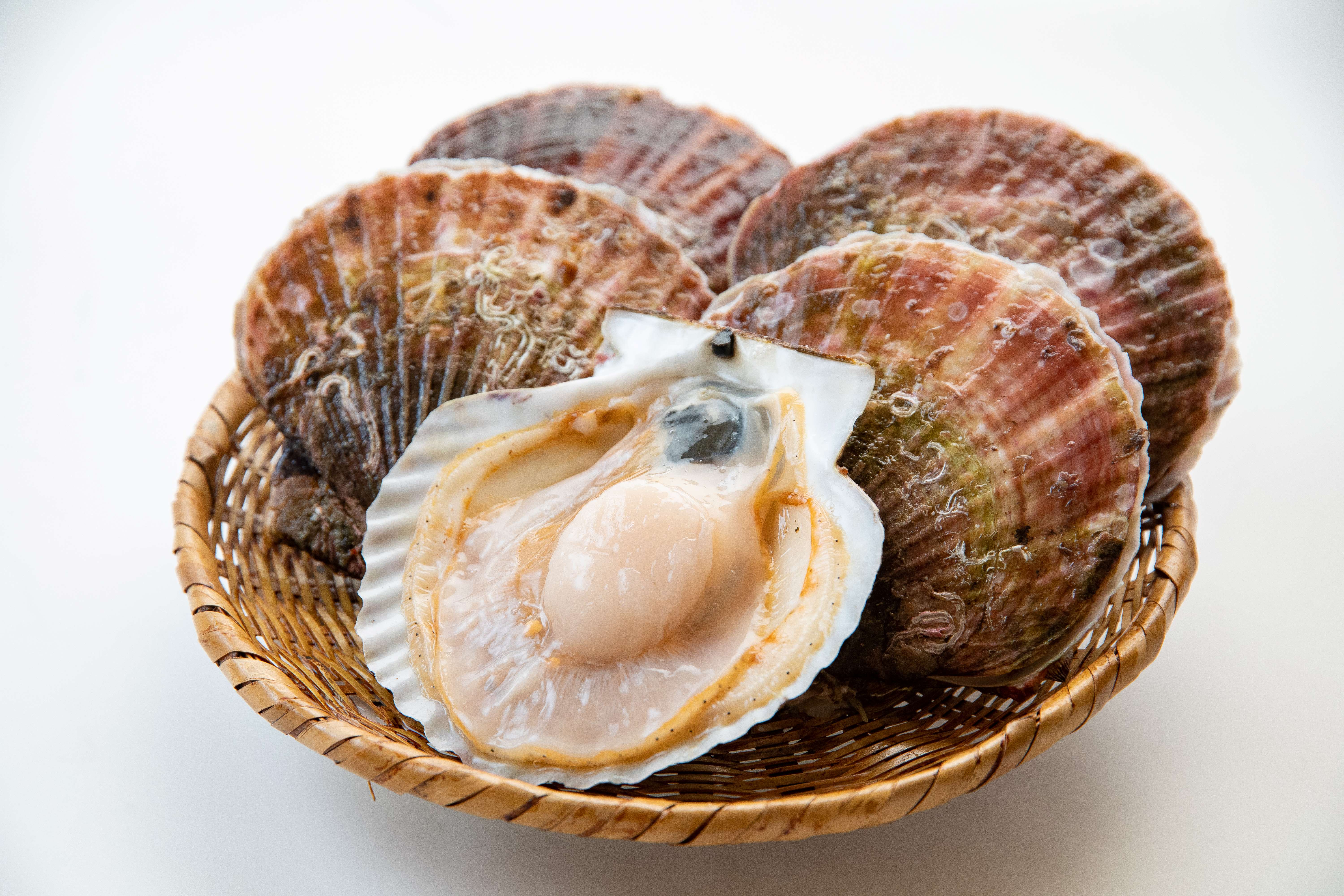 当社グループ会社 株式会社ハイブリッドラボの商品が宮城県石巻市のふるさと納税返礼品として登録されたことのお知らせ 株式会社ラックランドのプレスリリース