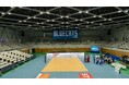 移動式スポーツフロア「ポータブルフィット」を開発!~大同生命SV.LEAGUEの「PFUブルーキャッツ石川かほく」で採用~