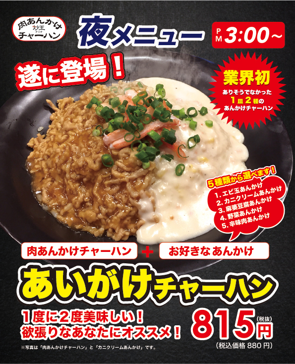 餡掛け炒飯@プロフ要確認様 リクエスト 2点 まとめ商品-