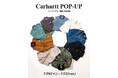 【HIGH! STANDARD】「Carhartt POP-UPイベント」開催！3月20日（金）〜22日（日）の3日間限定
