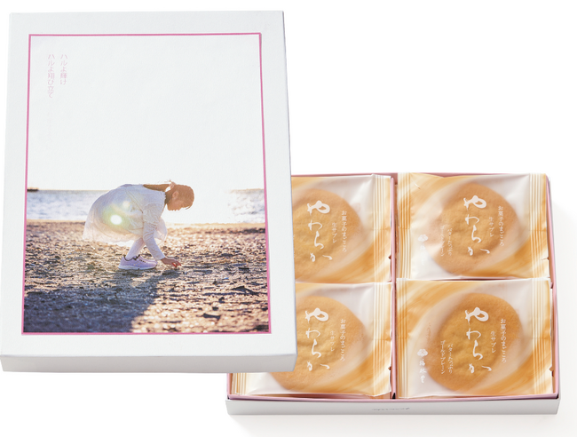 ハルのまなざし　12枚入