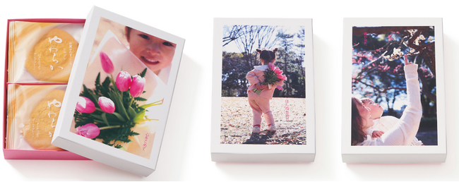 ハルのまなざし6枚入