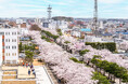 「令和7年度 稲生川上水167周年記念 十和田市春まつり」、4月19日から5月5日まで開催!