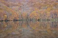 紅葉期の蔦沼周辺におけるオーバーツーリズム対策として、今年も入場制限を実施いたします。