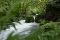 奥入瀬渓流全体が「天然の自然博物館」に！9月7日より交通規制＆体験イベントを開催
