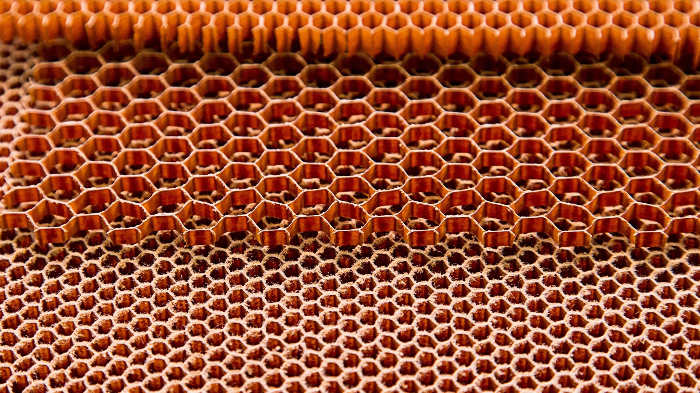 アラミドハニカムコア材の世界市場は27年までcagr10 00 で成長する見込み Report Oceanのプレスリリース