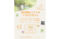 こどもと大人の ”BUDDIES” が運営する1日限定のカフェ、SANDO FES 西参道 に出店!
