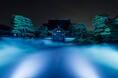 京都 建仁寺夜間拝観「ZEN NIGHT WALK KYOTO」来場者数1万人を突破