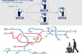 相互直通する京急電鉄、都営地下鉄、京成電鉄、北総鉄道の4社局間で日立の移動制約者ご案内業務支援サービスの連携運用を開始