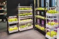 【いちごも、わさびも、オフィスで育つ!】無農薬野菜&高付加価値作物が育てられる水耕栽培「M-Farm」無料レンタル開始!