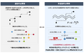 FRONTEO、既知の文献情報から記載のない「未知の関連性を体系的かつ効率的に発見する自然言語処理技術」を特許出願