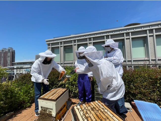 有明キャンパス屋上での養蜂活動