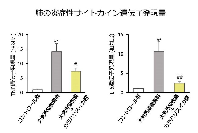 図2:マウスの肺のサイトカインの遺伝子発現量 ※発現量はコントロールとの相対評価で表示しています 図2:マウスの肺のサイトカインの遺伝子発現量 ※発現量はコントロールとの相対評価で表示しています