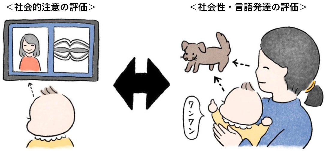 早産の赤ちゃんの社会性発達に関わるリスクマーカーを発見 学校法人武蔵野大学のプレスリリース