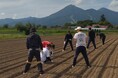 【武蔵野大学】2,800名超の学生がキャンパスを飛び出し国内外の地域課題や歴史文化に現地で向き合う 武蔵野大学12学部20学科の1年生 夏休み必修科目武蔵野大学フィールド・スタディーズ開講