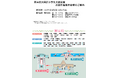 羽田空港で夏季イベントを開催！