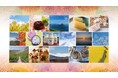 羽田空港と成田空港に“北海道の味”が集結！「北海道オータムフェア」開催