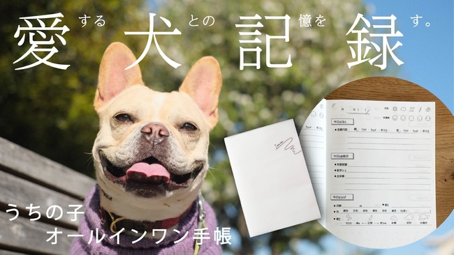 イイコの記し