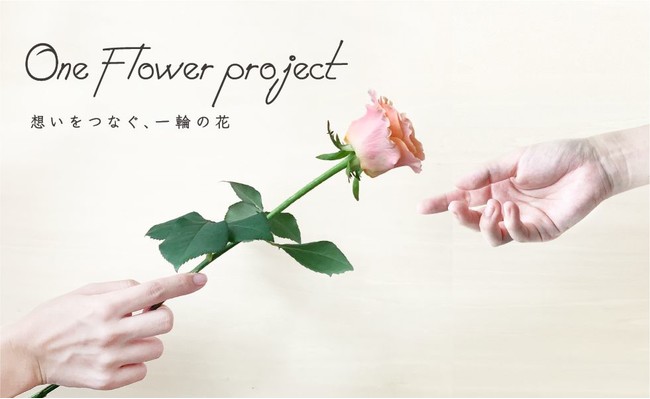 お花の生産者を応援する ワンフラワープロジェクト をスタート 最高品質の一輪のバラを実質無料でお届けするキャンペーンを開催 よいはな Yoihana の プレスリリース