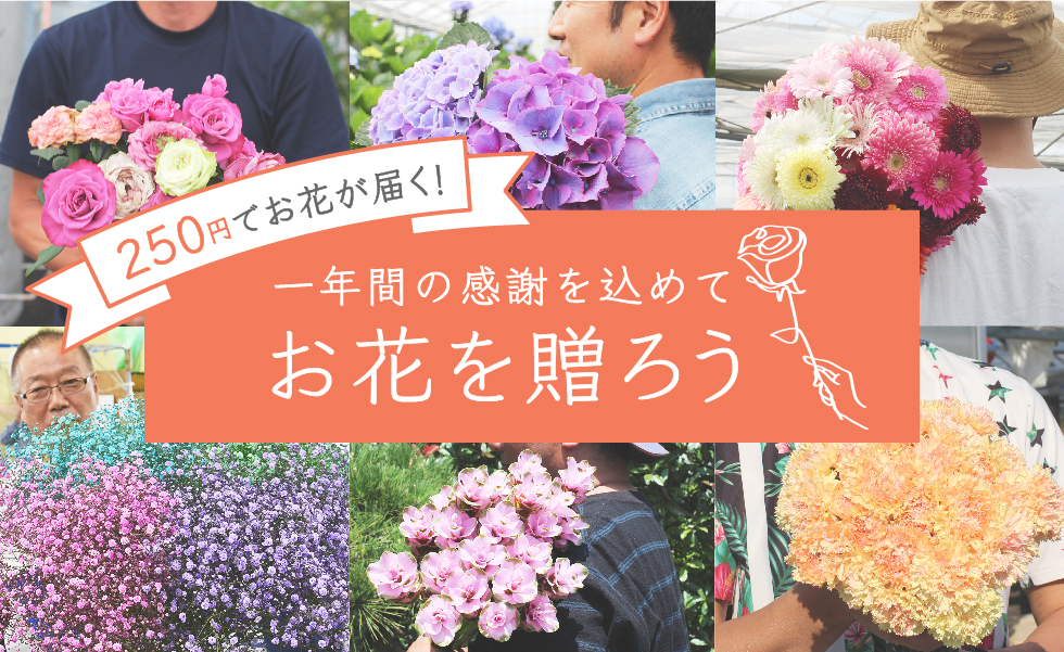 お花のつくり手を応援 よいはな 250円 税 送料込 でお花をお届けするキャンペーンを開始 よいはな Yoihana のプレスリリース