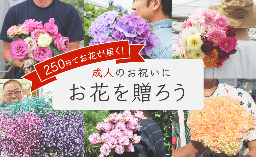 新成人をお祝いしよう お花の通販 よいはな が250円でお花を贈れる 新成人お祝いキャンペーン を実施 よいはな Yoihana のプレスリリース