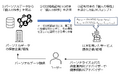 生成AI向けパーソナルデータの漏洩リスクを抑制する技術に関する主著論文が「The Web Conference 2025」にて採択