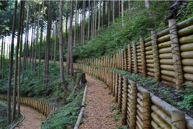 香りの道「登計トレイル」。日本初の森林セラピー専用ロードです。（写真提供：おくたま地域振興財団）