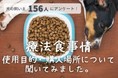 犬の療法食の正しい使用目的を知ってる？「病気の予防」「体に良さそう」で使用する飼い主さんも！【飼い主156人アンケート】