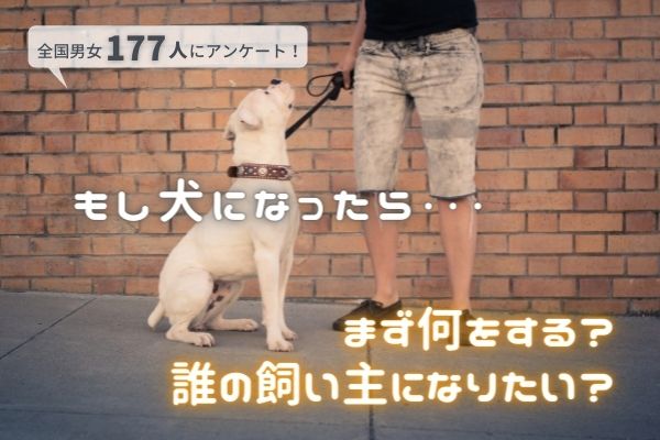 目覚めたとき犬になってたらどうする なりたい犬 種ランキング1位は 柴犬 飼い主になってほしい人は 相葉雅紀さん の声が多数 177人アンケート 株式会社plan Bのプレスリリース