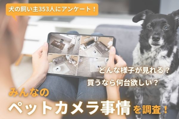 愛犬のためにペットカメラを欲しい飼い主さんは6割以上 実際に使用している飼い主さんの 感想は 飼い主353人アンケート Inunavi いぬなび 株式会社plan Bのプレスリリース