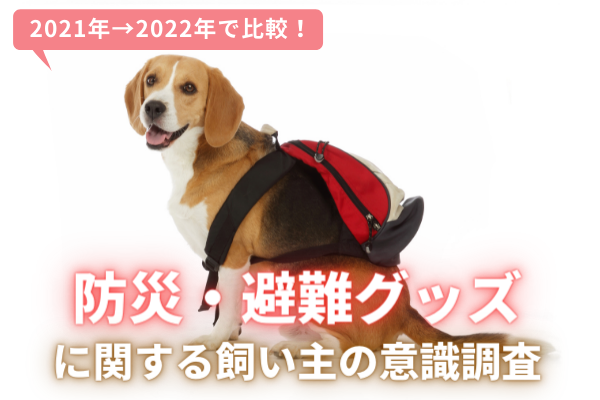 690】 全国共通 飼い主のための愛犬防災Vol.1〜すべては備えから編