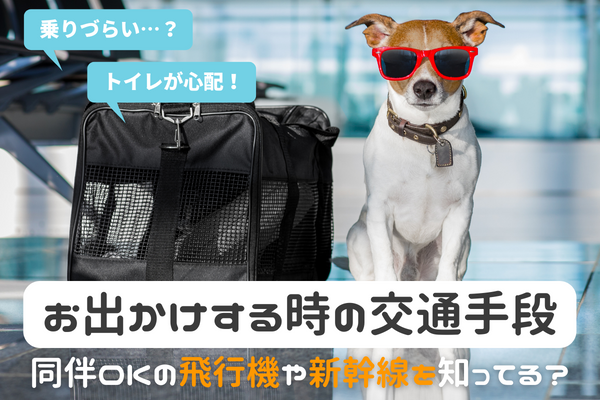愛犬と公共交通機関を利用したことがある人は 乗りづらい 同伴搭乗できる飛行機を利用してみたい と言う声も 飼い主0人アンケート 株式会社plan Bのプレスリリース