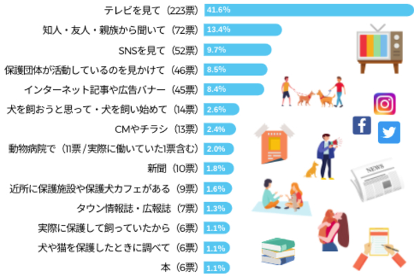 保護犬を迎え入れてみたい人は60%以上！知ったきっかけや迎える時の