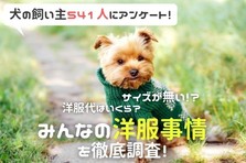 犬 は飼い主に似る 人間みたいな行動をするわんちゃんも 飼い主672人アンケート 不機嫌な表情になる言葉や行動などを徹底調査 株式会社plan Bのプレスリリース