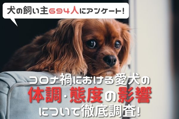 吠えるようになった 甘えん坊になった コロナ自粛が与える愛犬への影響を調査 飼い主694人アンケート Oricon News