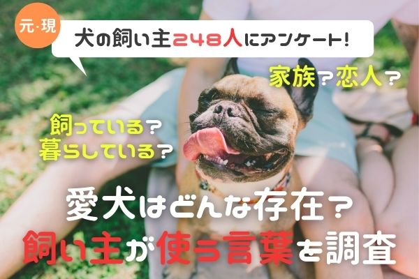 愛犬を擬人化してる飼い主さんが半数以上 エサ ごはん 飼い主が使う言葉を徹底調査 犬の飼い主248人アンケート 時事ドットコム