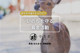 奈良の魅力を伝える民泊「今昔荘」、売上の一部を奈良公園の鹿保護へ寄付 ~「宿泊で鹿を守る」特別プランの販売を開始~