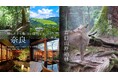 1,100年の時を刻む世界遺産「春日山原始林」ハイキング×奈良発祥の歴史的なサウナ「からふろ」から眺める日本庭園宿でユニークな非日常体験の旅